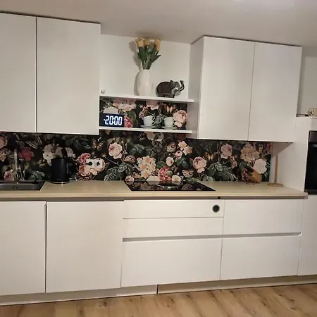 Appartement Und Kueche Mit Balkon Und Ausblick *