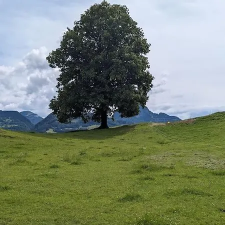 شقة Und Kueche Mit Balkon Und Ausblick *