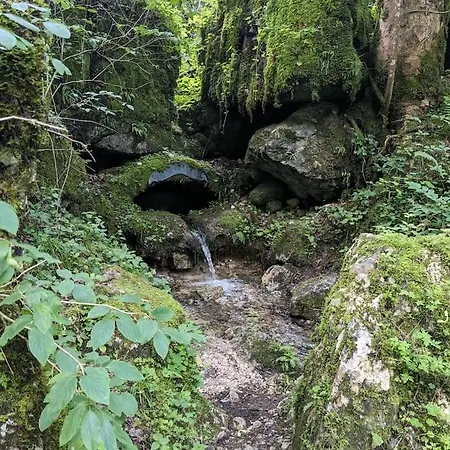 Und Kueche Mit Balkon Und Ausblick *